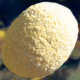 sparrowland004013.jpg